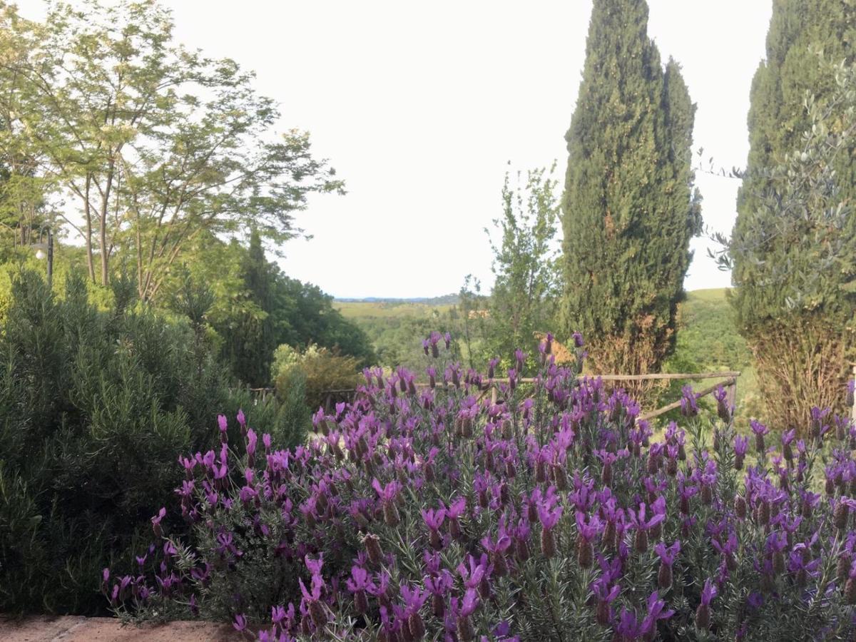 Viva House Villa Montaione Exterior photo